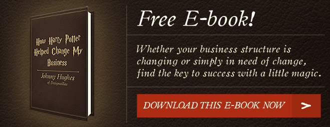 Download our New eBook "How Harry Potter Helped Change My Business"