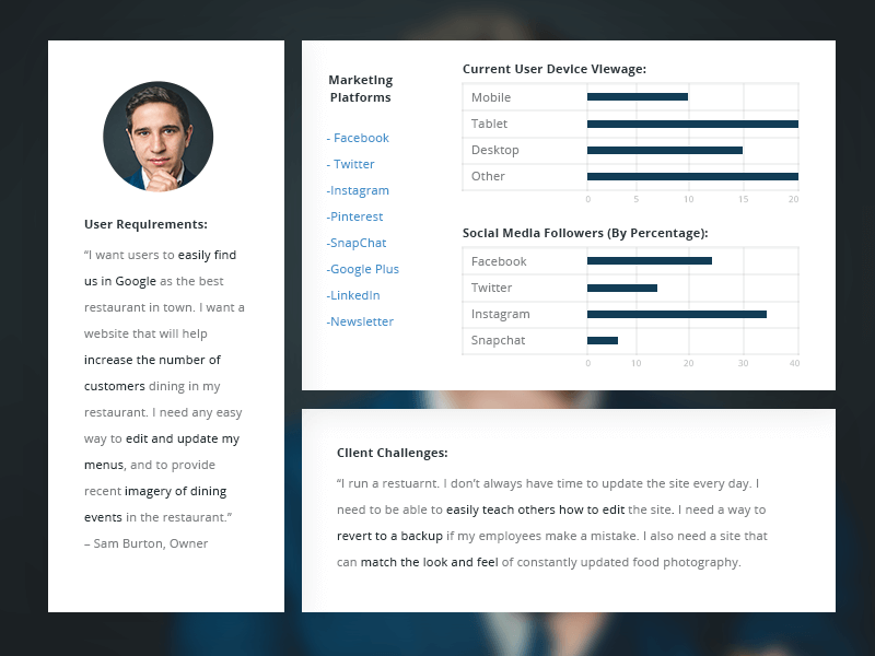 User Persona Example