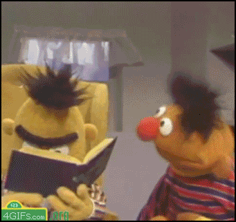 Bert and Ernie from Sesame Street